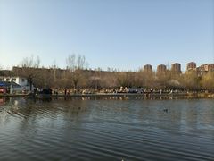 -前关湿地公园