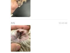 -comecome来吧宠物(奥克斯中心店)