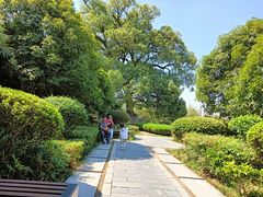 -八大山人梅湖景区