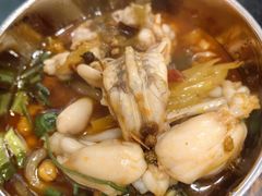 -鸿顺老铁锅美蛙鱼府(解放碑店)