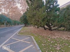 -河南省黄河迎宾馆