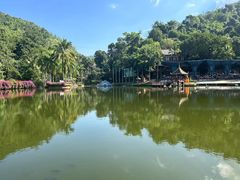 -西双版纳原始森林公园