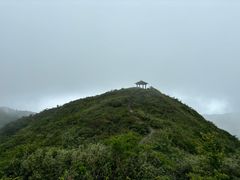 -大围山国家森林公园