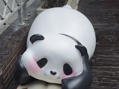 -轩客会(熊猫书店)