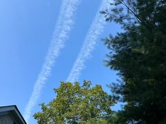 -约翰·菲茨杰拉德·肯尼迪国际机场