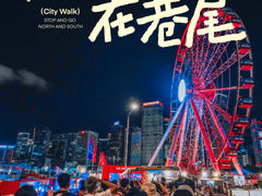 -Big Bus Tours 敞篷观光巴士