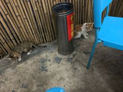 -彝人部落火盆烧烤(原内环足球场店)