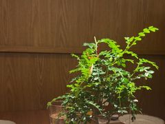 -CURRY YA 熟成咖哩專門店(深圳湾万象城店)