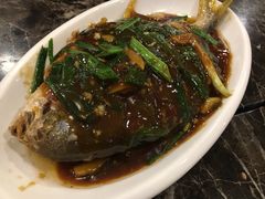 -冯姐生蚝(长隆横琴店)