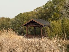 -同里国家湿地公园