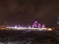 -珠江夜游省总码头