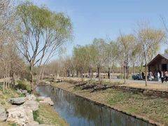 -东郊湿地公园