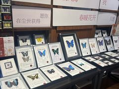 -三联韬奋书店(三里屯店)