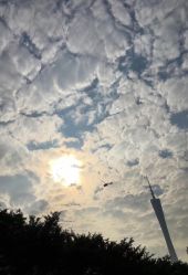 -空中一号宴会厅(信合大厦店)
