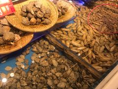 -必点海鲜·鲅鱼水饺(鞍山西道店)