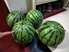 -家乐福(古北店)