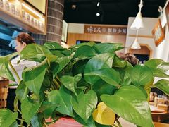 -馋三尺蟹粉小笼(人民广场店)