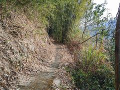 -碧水湾温泉