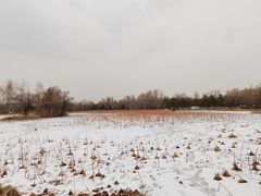 -长春净月潭风景名胜区