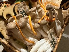 -大龙燚·旷野鲜火锅(广州首店)