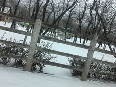 -秦皇岛野生动物园