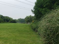 -九里河湿地公园