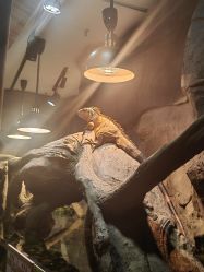 -Zoolung Zoolung动物主题公园(海信广场店)