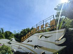 -西双版纳原始森林公园