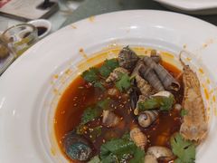 -舌尖上·霞浦滩涂海鲜·新闽菜(总店)