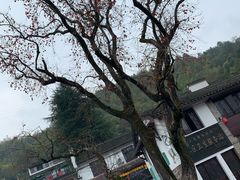 -丹山赤水风景名胜区