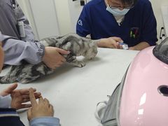 -贝康宠物医院·犬猫全科·小动物特色诊疗中心(东环路店)