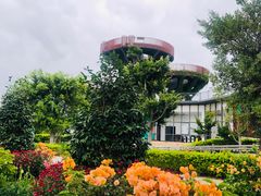 -芒洲湿地公园