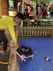 -萌宠亲子动物乐园(槐房万达店)