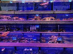 -青蓬蒸汽海鲜·深圳老字号·团建聚会(壹方城店)