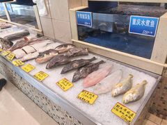 -双井轩(双井店)