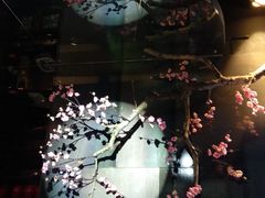 -老板恋上鱼(高新万达店)