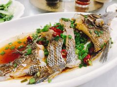 -金海湾海鲜排档(朱家尖店)