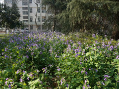 -南京航空航天大学(明故宫校区)