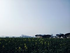 -中国天府农业博览园