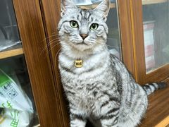 -喜洋洋宠物医院(震川路总店)