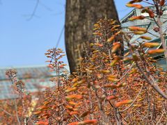 -华南国家植物园-售票处