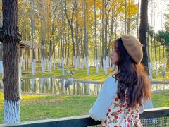 -艾溪湖湿地公园