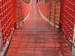 -上海吴淞炮台湾国家湿地公园
