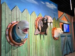 -海合安天津极地海洋公园