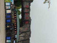 -合肥野生动物园