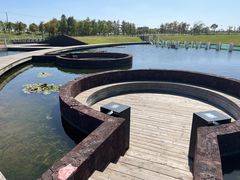 -春花秋色城市公园