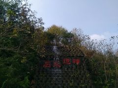 -千年银杏谷文化旅游区