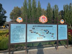 -金塔沙漠胡杨林景区