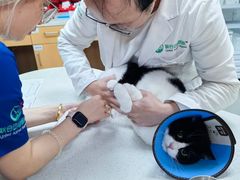 -联合动物医院(光谷诊疗中心)
