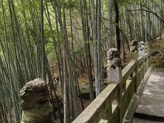 -敬亭山风景名胜区